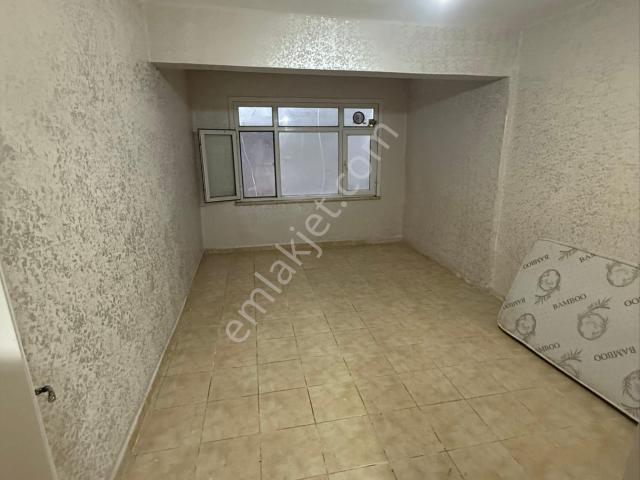 İstanbul Merkez, İstanbul içerisinde kiralık mülk