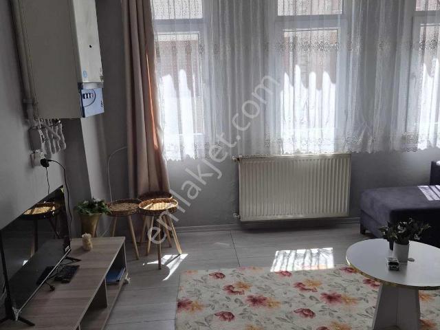 İstanbul Merkez, İstanbul içerisinde kiralık mülk