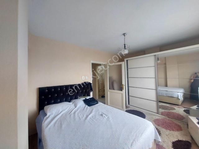 İstanbul Merkez, İstanbul içerisinde kiralık mülk