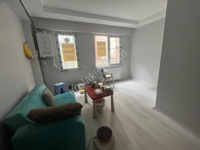 İstanbul Merkez, İstanbul içerisinde kiralık mülk