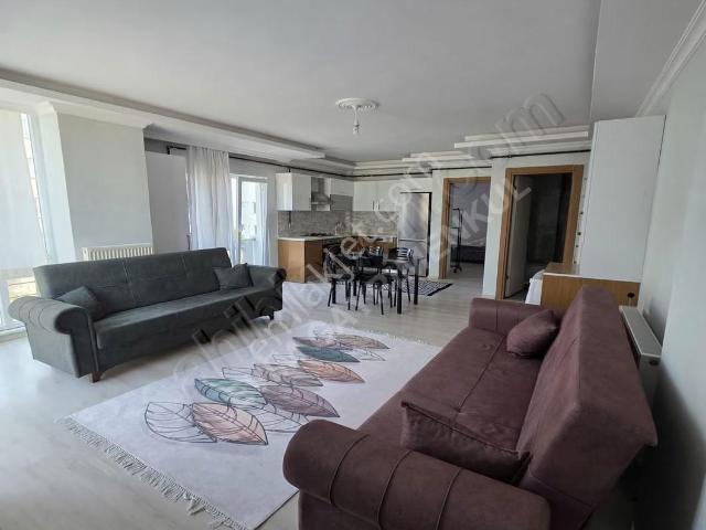 Çerkezköy, Tekirdağ içerisinde kiralık mülk