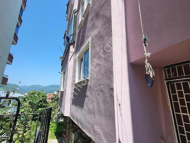 Ordu içerisinde kiralık mülk