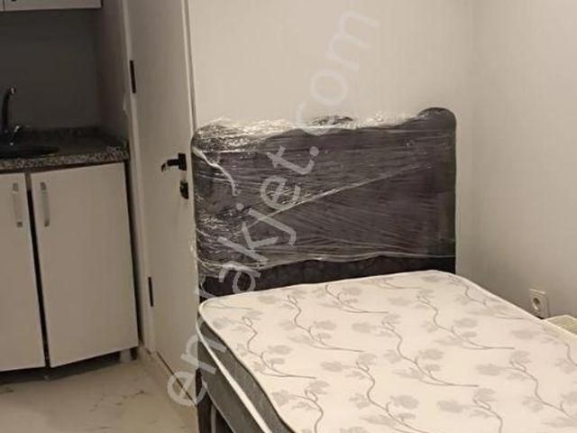 İstanbul Merkez, İstanbul içerisinde kiralık mülk