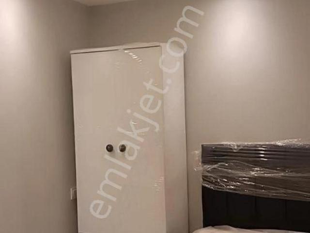 İstanbul Merkez, İstanbul içerisinde kiralık mülk