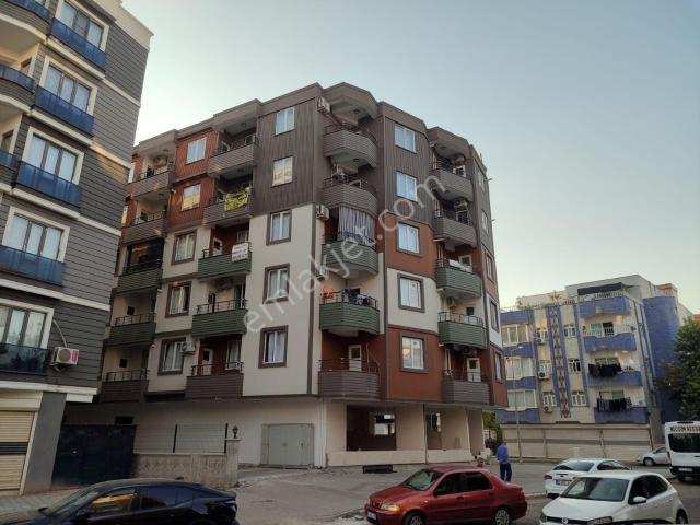 Batman Merkez, Batman içerisinde kiralık mülk