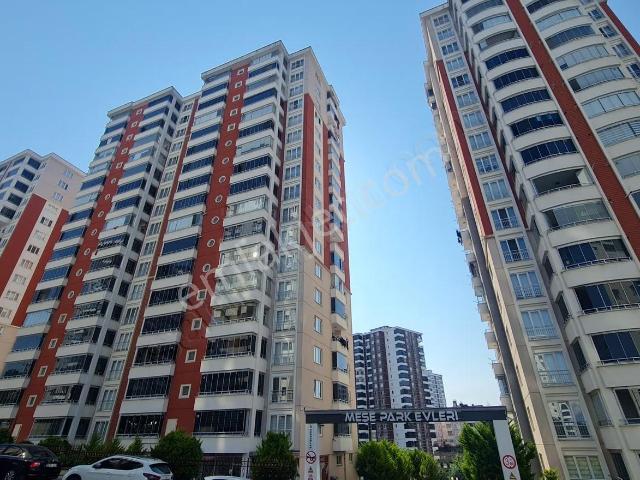 Dolunay Mahallesi, Fatsa içerisinde satılık mülk