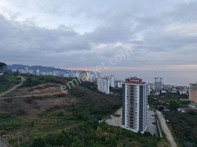 Kurtuluş Mahallesi, Fatsa içerisinde kiralık mülk