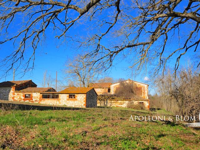 Casa in vendita a Asciano, Toscana