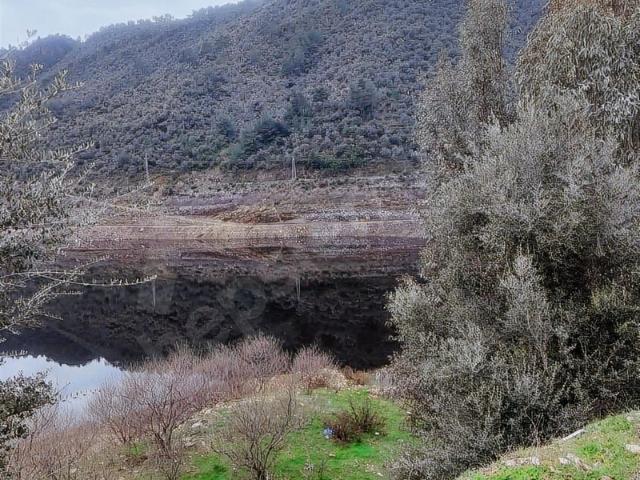 Günlük, Milas içerisinde satılık mülk