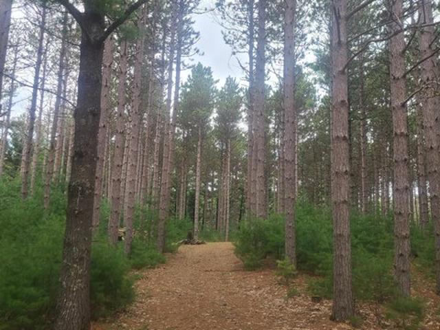 Land for sale in Hancock, Wisconsin