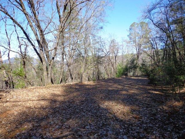 Land for sale in Shasta, California