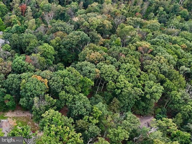 Land for sale in Hedgesville, West Virginia