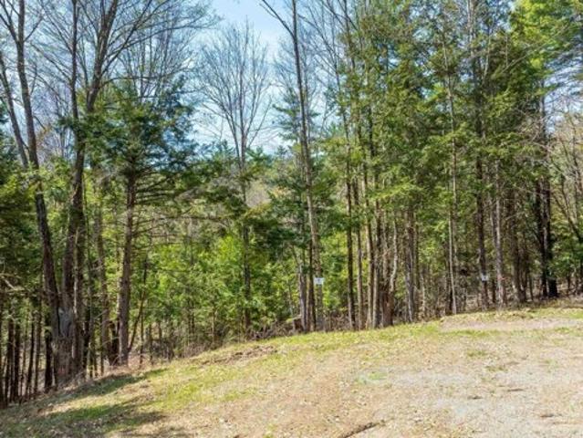Land for sale in Plantsville, Vermont