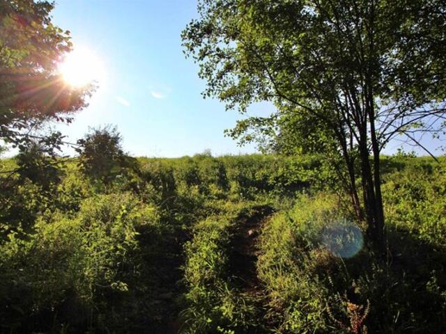Land for sale in Grand Isle, Vermont