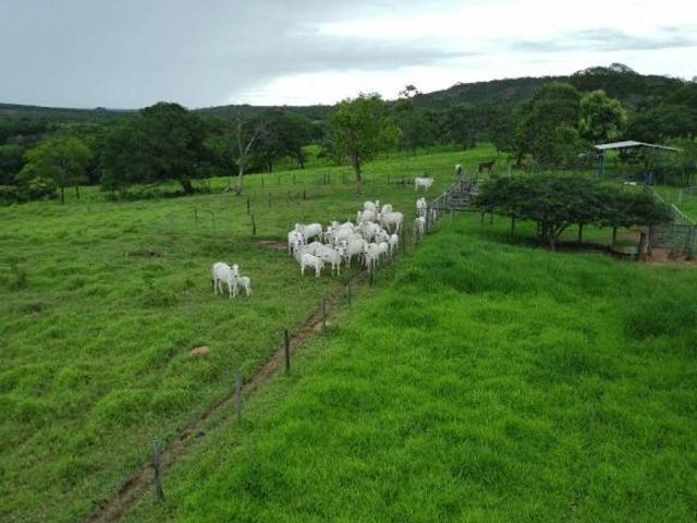 Sítio e chácara venda em Região Geográfica Imediata de Unaí, Uruana de Minas