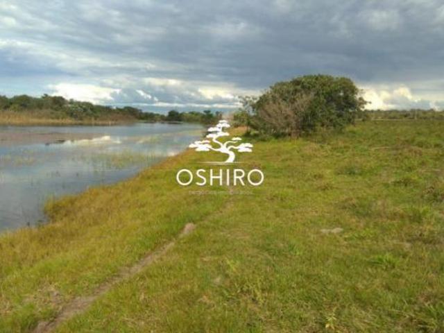Sítio e chácara venda em Região Geográfica Imediata de Barra do Garças, Novo São Joaquim