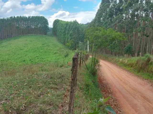 Fazenda venda em Região Imediata de São José dos Campos, Região Metropolitana do Vale do Paraíba e Litoral Norte