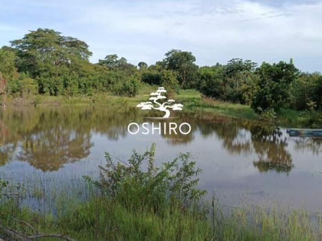 Sítio e chácara venda em Região Geográfica Imediata de Água Boa, Ribeirão Cascalheira