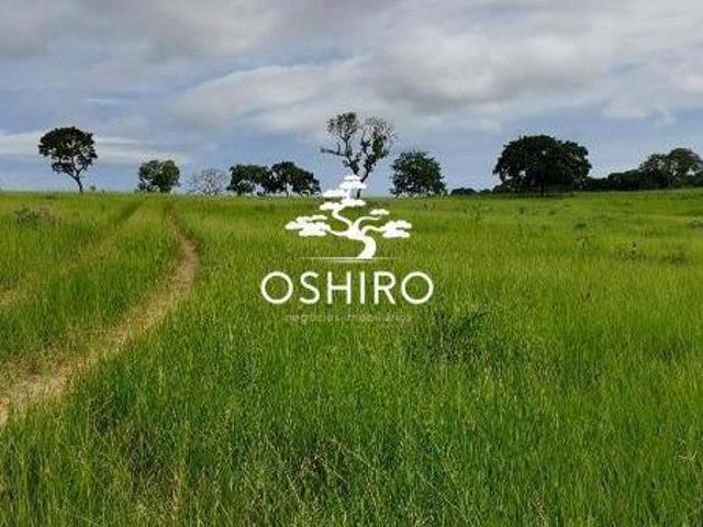 Sítio e chácara venda em Região Geográfica Imediata de Barra do Garças, Torixoreu