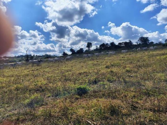 Sítio e chácara venda em Região Geográfica Imediata de Pará de Minas, Pará de Minas