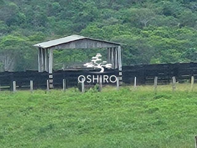 Sítio e chácara venda em Região Geográfica Imediata de Barra do Garças, Barra do Garças