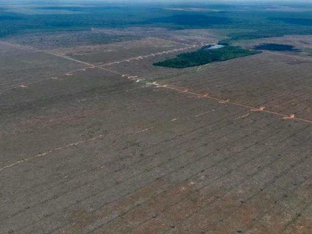 Sítio e chácara venda em Região Geográfica Imediata de Água Boa, Gaúcha do Norte