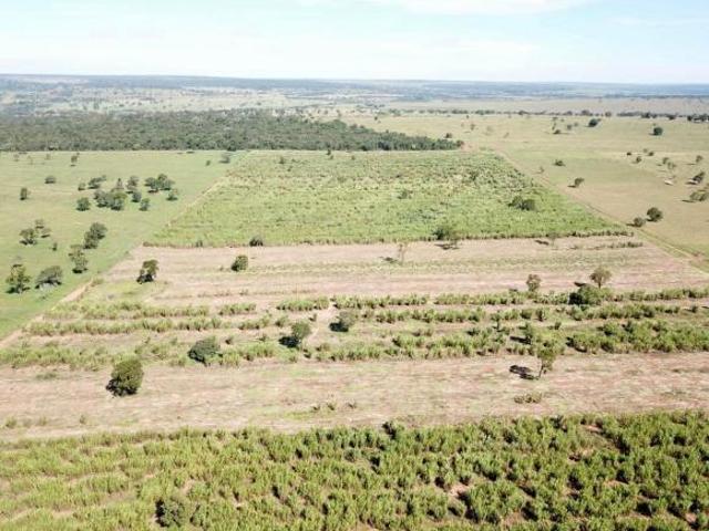 Sítio e chácara venda em Região Geográfica Imediata de Campo Grande, Ribas do Rio Pardo