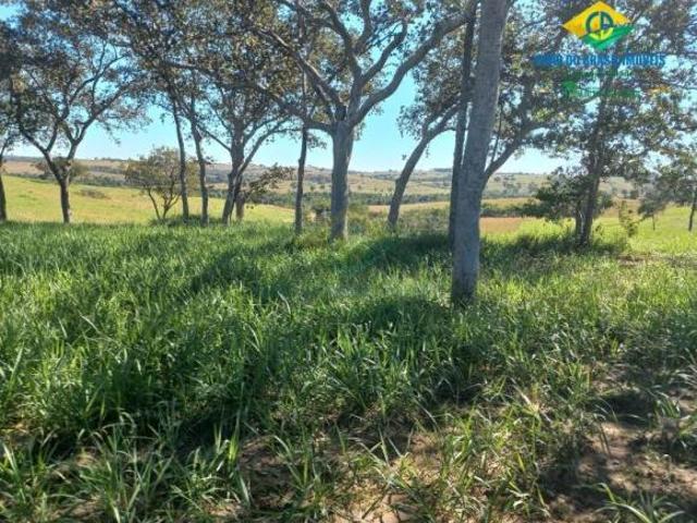 Sítio e chácara venda em Região Geográfica Imediata de Campo Grande, Camapuã