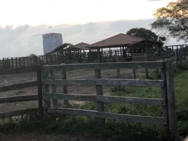 Sítio e chácara venda em Região Geográfica Imediata de Janaúba, Jaíba