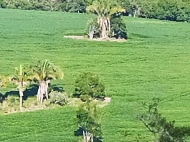 Sítio e chácara venda em Região Imediata de Itapetininga, Região Metropolitana de Sorocaba