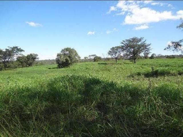 Sítio e chácara venda em Região Geográfica Imediata de Campo Grande, Corguinho
