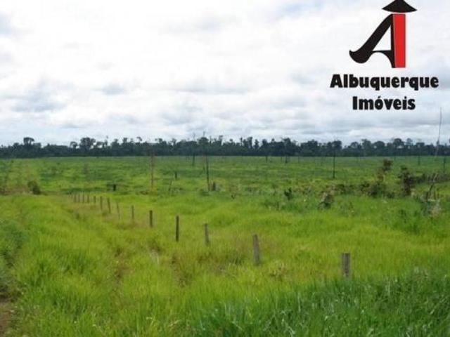 Sítio e chácara venda em Região Geográfica Imediata de Juína, Rondolândia
