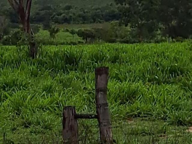 Sítio e chácara venda em Região Geográfica Imediata de Pirapora, Buritizeiro