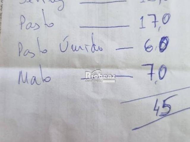 Sítio e chácara venda em Monte Aprazível