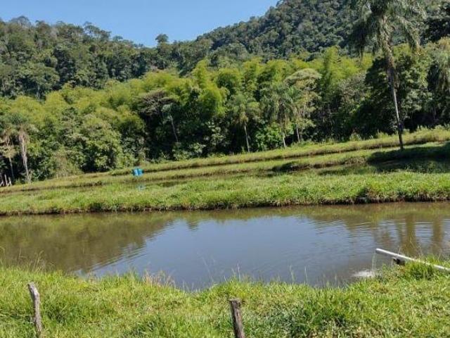 Sítio e chácara venda em Região Geográfica Imediata de Campo Grande, São Gabriel do Oeste