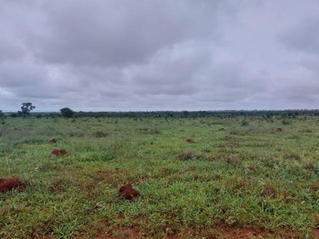 Sítio e chácara venda em Região Geográfica Imediata de Cuiabá, Região Metropolitana do Vale do Rio Cuiabá