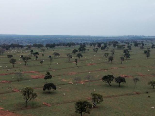 Sítio e chácara venda em Coronel Sapucaia, Mato Grosso do Sul