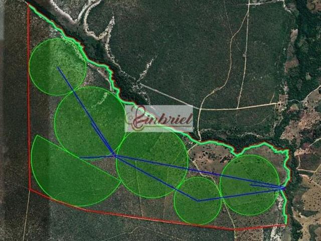 Sítio e chácara venda em Região Geográfica Imediata de Januária, Bonito de Minas