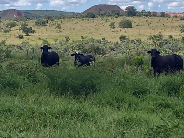 Sítio e chácara venda em Região Geográfica Imediata de Patos de Minas, Varjão de Minas
