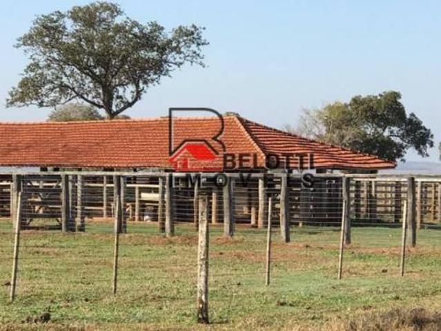 Sítio e chácara venda em Região Geográfica Imediata de Campo Grande, Ribas do Rio Pardo
