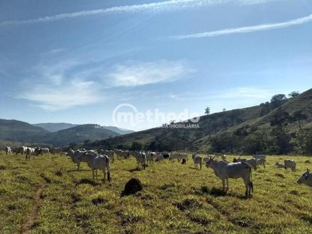 Sítio e chácara venda em Região Geográfica Imediata de Três Pontas - Boa Esperança, Ilicínea