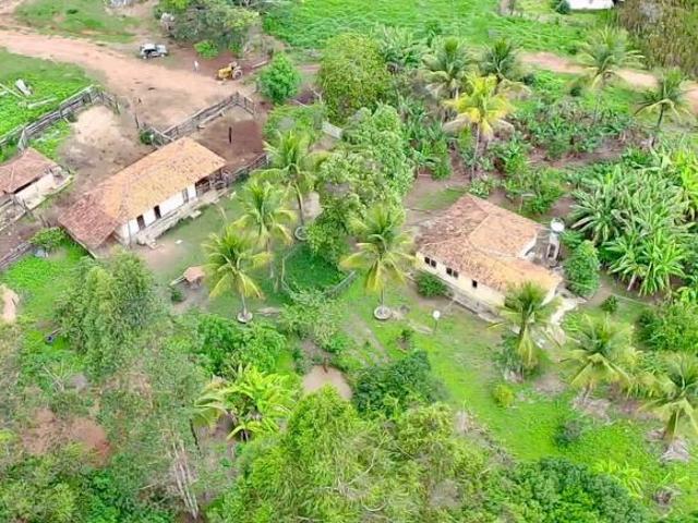 Sítio e chácara venda em Região Geográfica Imediata de Diamantina, Senador Modestino Gonçalves