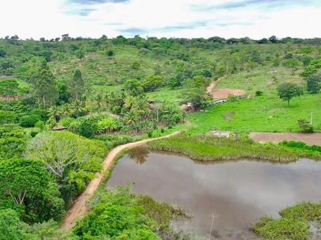 Sítio e chácara venda em Região Geográfica Imediata de Diamantina, Senador Modestino Gonçalves