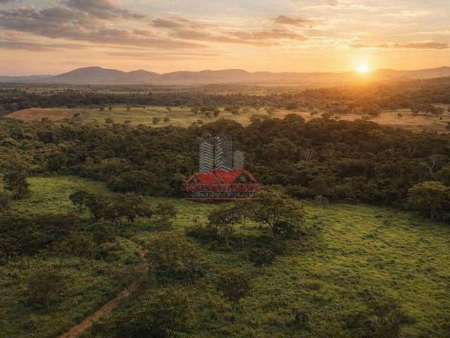 Sítio e chácara venda em Região Geográfica Imediata de Porangatu, Porangatu