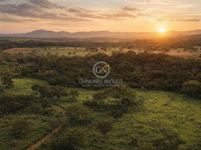 Sítio e chácara venda em Região Geográfica Imediata de Porangatu, Porangatu
