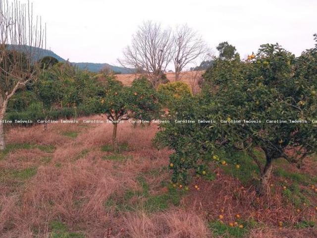 Sítio e chácara venda em Região Geográfica Imediata de Porto Alegre, Barra do Ribeiro