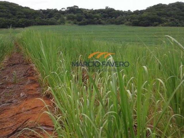 Sítio e chácara venda em Região Imediata de Araraquara, Araraquara