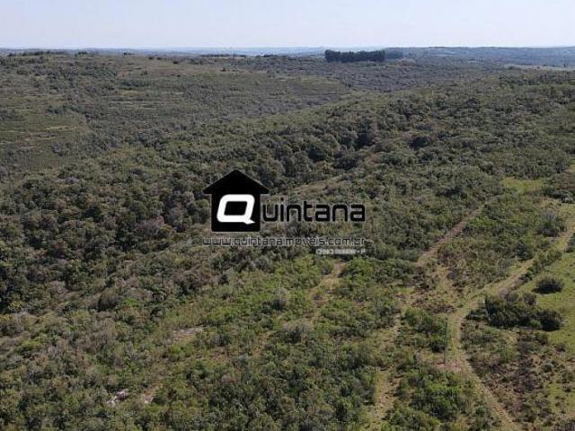 Sítio e chácara venda em Região Geográfica Imediata de São Gabriel - Caçapava do Sul, Cacapava do Sul