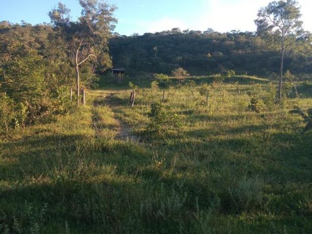 Sítio e chácara venda em Região Geográfica Imediata de Luziânia, Região Integrada de Desenvolvimento do Distrito Federal e Entorno