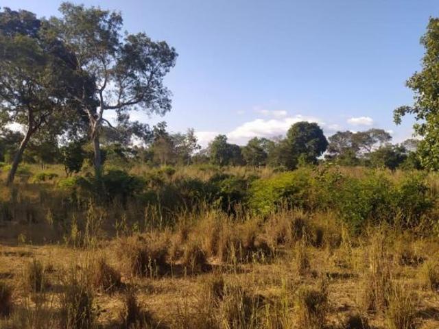 Sítio e chácara venda em Região Geográfica Imediata de Curvelo, Felixlândia
